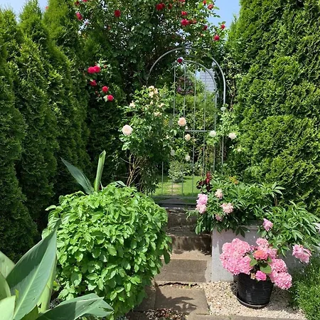 Secra Exclusive Zum Sternberg * Münsingen